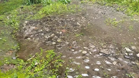 Rain Down in Broad Daylight Stock Footage 295995748