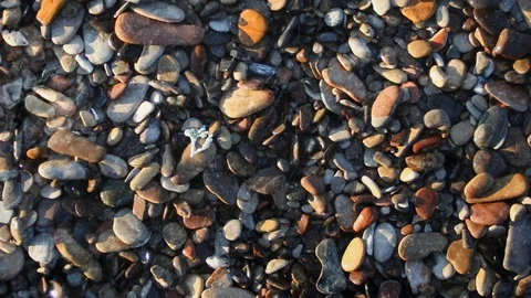 Rain Down on Colored Stones 4K Loop Stock Footage 86139106
