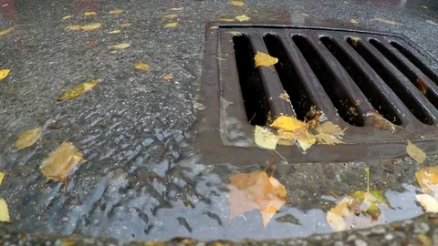 Rain down the drain Stock Footage 81531861