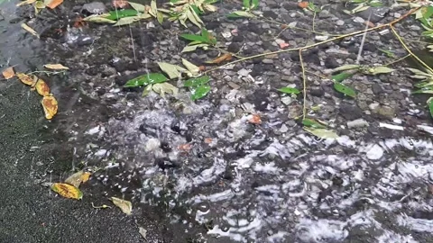 Rain down Video stock 237157933