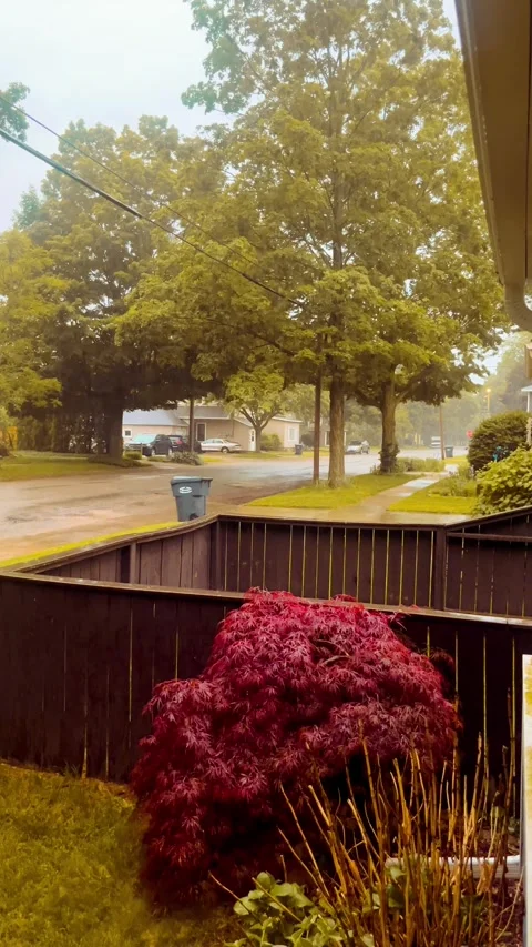 Rain down the street Stock Footage 279520594