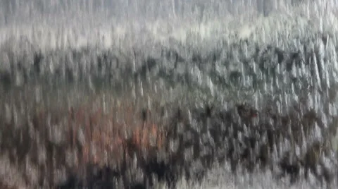 Rain Downpour 3 Video stock 6432891