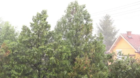 Rain Downpour Stock Footage 40664112