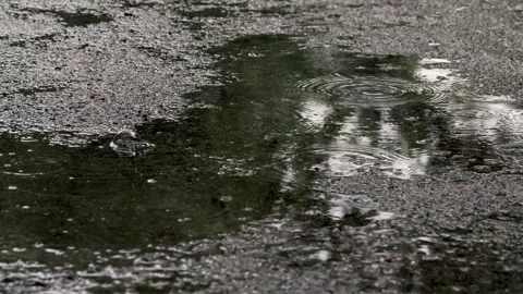 Rain downpour in puddle with reflections daytime 库存影片 322599314