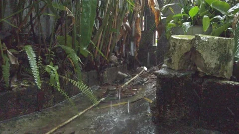 RAIN IN THE DRAIN Stock Footage 145297381