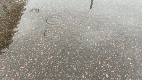Rain is dripping on the asphalt. Stock Footage 191501529