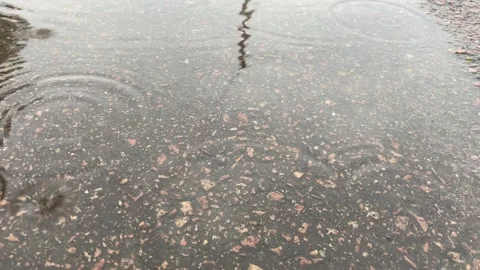 Rain is dripping on the asphalt. Stock Footage 191501538