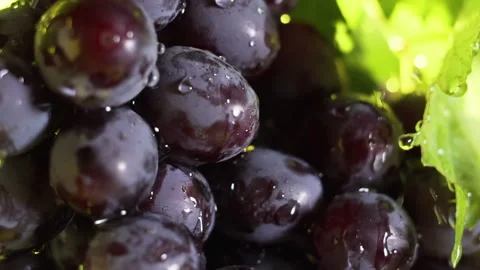 Rain dripping on a bunch of grapes, slow motion. Stock Footage 136503903