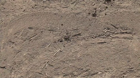Rain is dripping down on a very dry soil Stock Footage 95423901