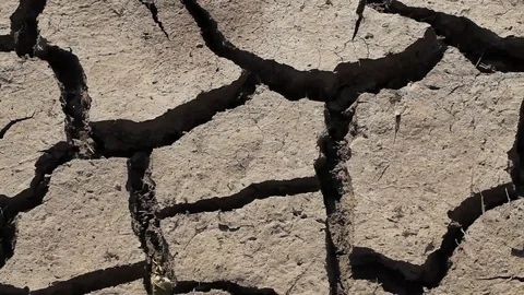Rain is dripping down on a very dry soil Stock Footage 95423948