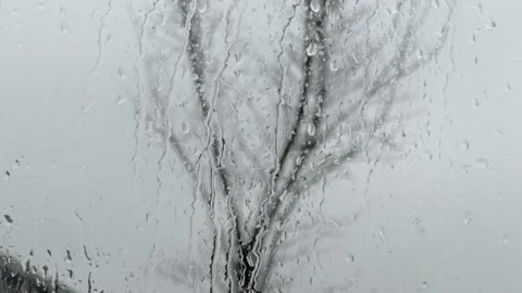Rain dripping down window with tree in background 库存影片 239564832