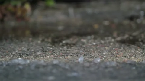 Rain dripping on the pavement. macro Stock Footage 10566779