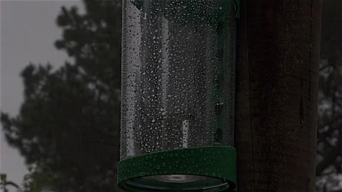 Rain dripping into rain gauge Stock Footage 81785968