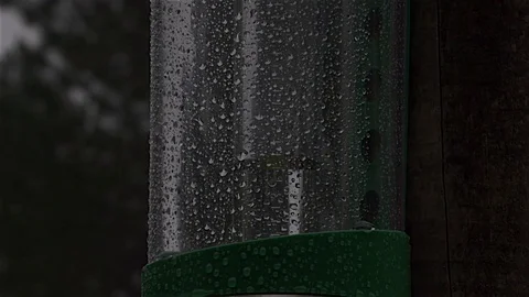 Rain dripping into rain gauge Stock Footage 81797395