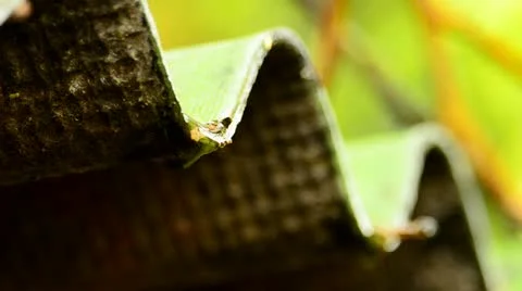 Rain dripping from roof Stock Footage 10920118