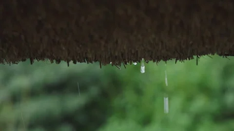 Rain dripping from thatch roof Stock Footage 300449449