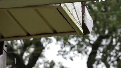 Rain dripping under house eave 1080p 60fps Video stock 120810116