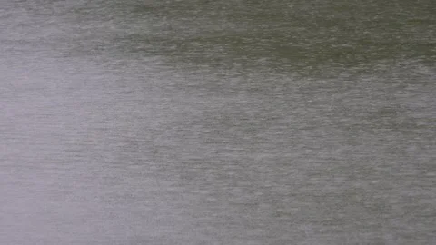 Rain is dripping on the water Stock-Footage 316235963