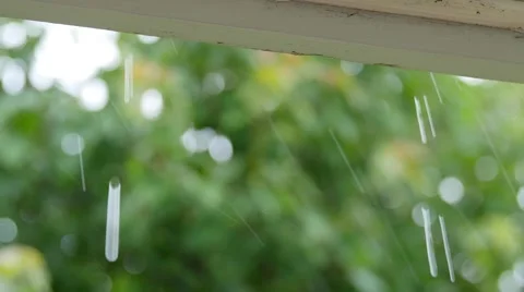 Rain drips off a house roof and tree during storm rack focus Stock Footage