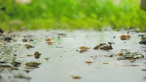 Rain drips into a puddle on the background of green grass 스톡 동영상 164677967