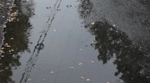 Rain Drips in Puddle- Clean Stock Footage 8646806