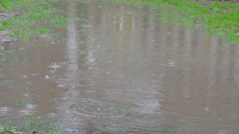 Rain drips into a puddle on the ground Stock Footage 205122696