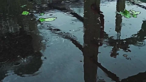 Rain Drips Into A Puddle On The Roof Stock Footage 296206783