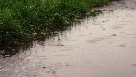 Rain drips on puddles on the asphalt Vídeo Stock 132863457