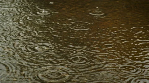 Rain drips into puddles. Selective focus. Stock Footage 197028734