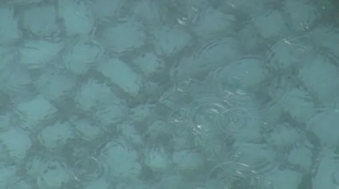 Rain drips in water Video stock 10732100