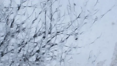 Rain drips on the window behind which there is a tree Stock Footage 177505826