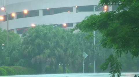 Rain Drive Roadway Stock Footage 828742