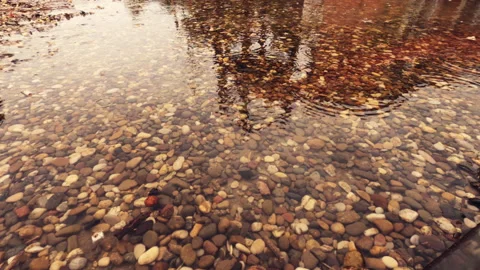 Rain drizzle in pond Vídeos de archivo 138751454