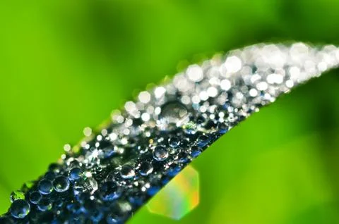 Rain drop and bokeh Stock Photos