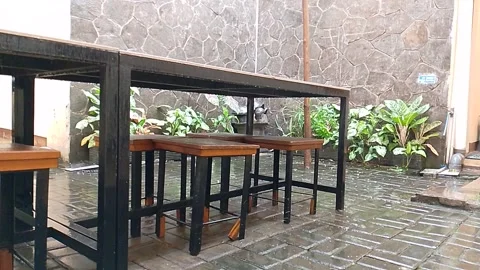 Rain drop at the backyard Stock Footage 298246964