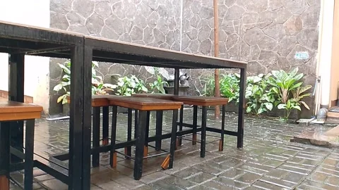 Rain drop at the backyard Stock Footage 298422019