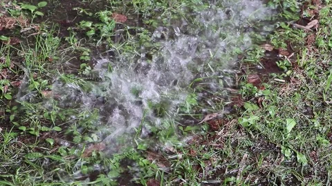Rain drop down on ground from eaves above in rainy day Stock Footage 108649707