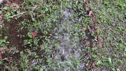 Rain drop down on ground from eaves above in rainy day Stock-Footage 108649724