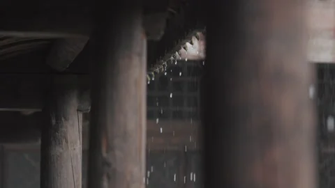 Rain Drop Dripping Down From Eaves Of An Ancient Architecture Stock Footage 141820687