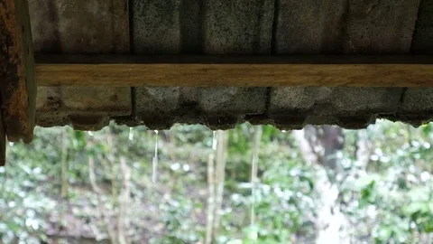 Rain drop from the edge of roof Stock Footage 78553670