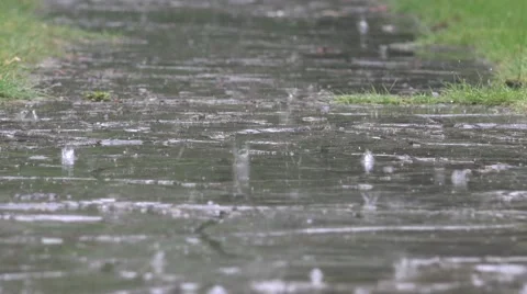 Rain drop fall on park path in summer time. 4K 動画素材 60694561