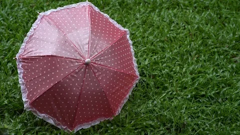 Rain drop falling down hits pink umbrella Vídeo Stock 124824545