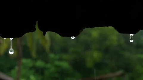 Rain drop falling from old roof tiles Stock Footage 161316225