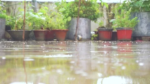 RAIN DROP FALLING ON THE ROOFTOP Stock Footage 136251241