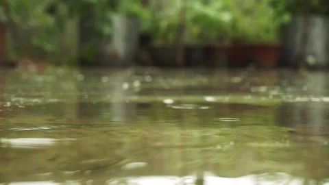 RAIN DROP FALLING ON THE ROOFTOP Stock Footage 136251242