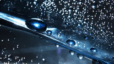 Rain Drop Stock Footage 1020299
