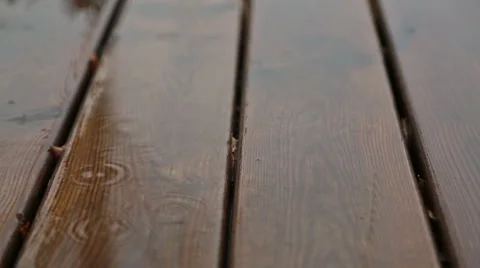 Rain drop 스톡 동영상 46668664