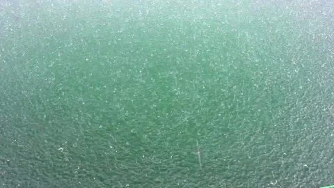 Rain drop Stock Footage 141246771
