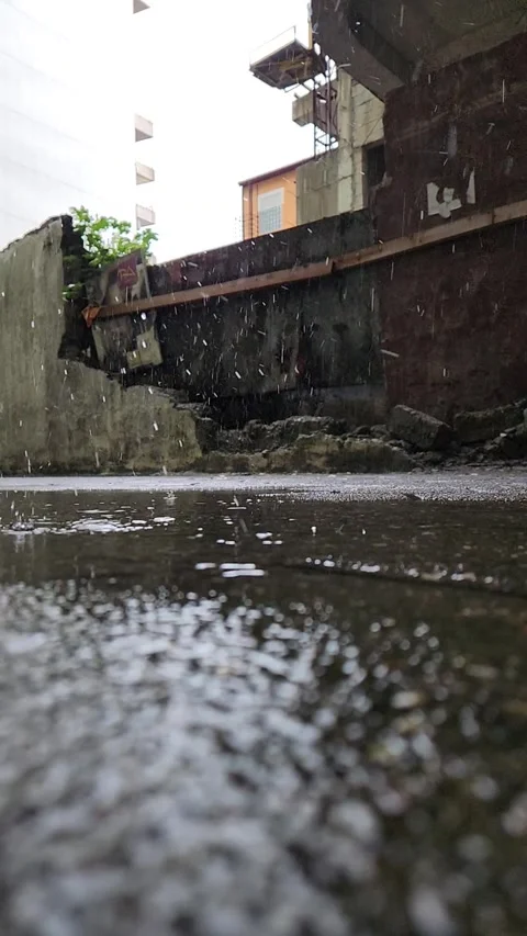 Rain drop Stock Footage 252061296