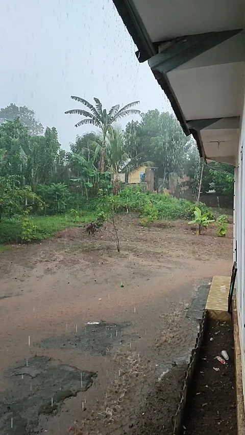 Rain Drop Video stock 272292113